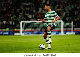 篮球勇士主帅称赞替补群：能量十足